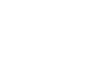 pressio Logo White 1